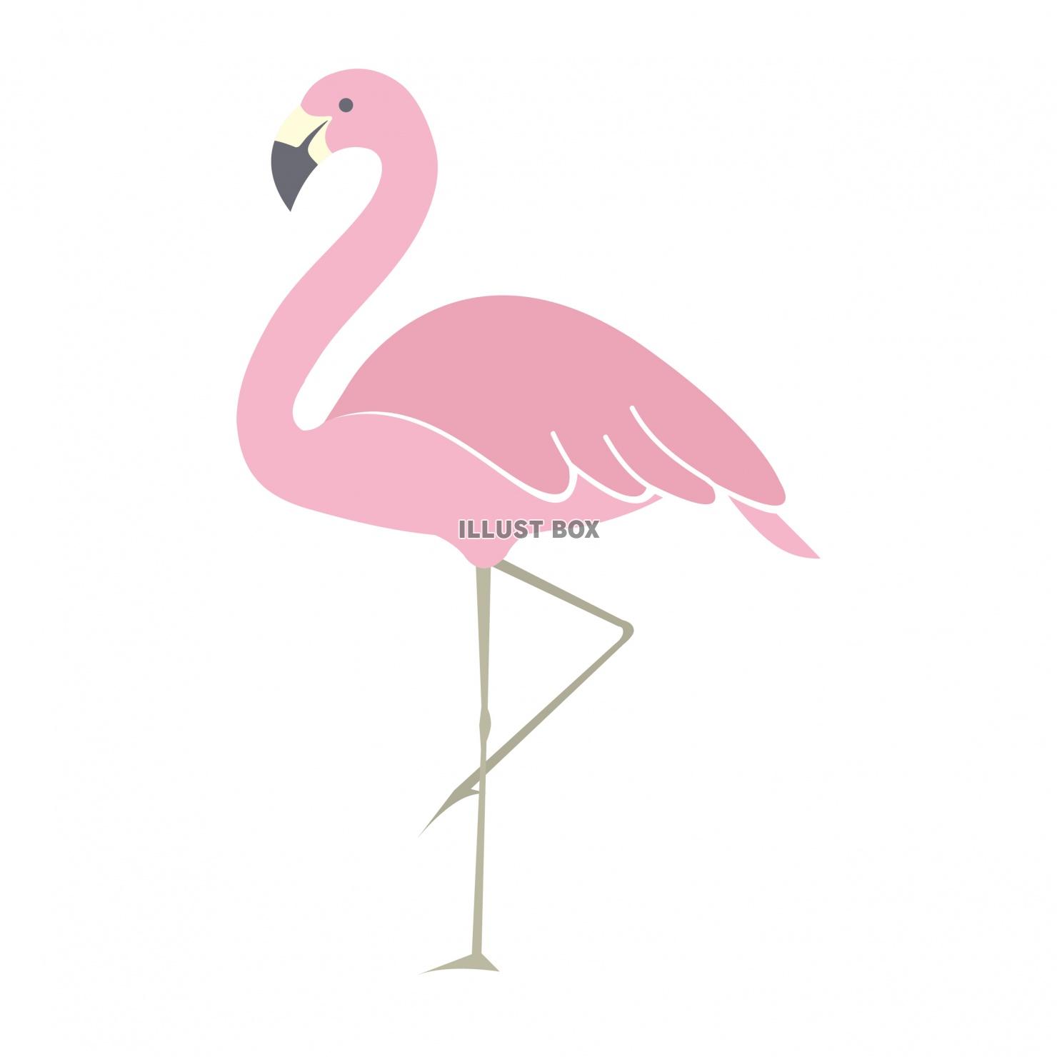 flamingo　フラミンゴ　かわいいイラスト