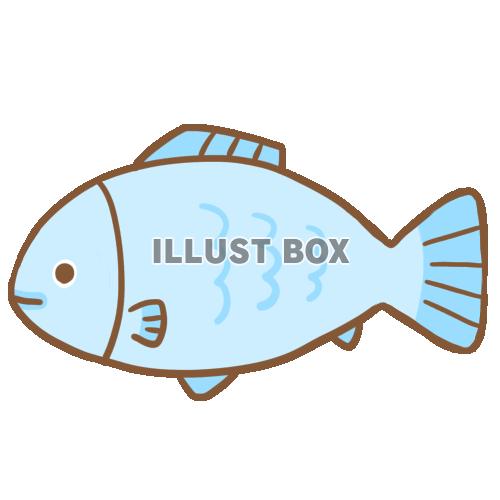 魚 イラスト無料