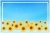 向日葵　夏のカード　オレンジ