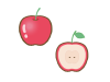 赤いりんご カットした林檎