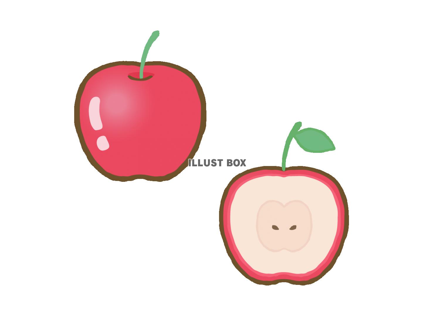 無料イラスト 赤いりんご カットした林檎