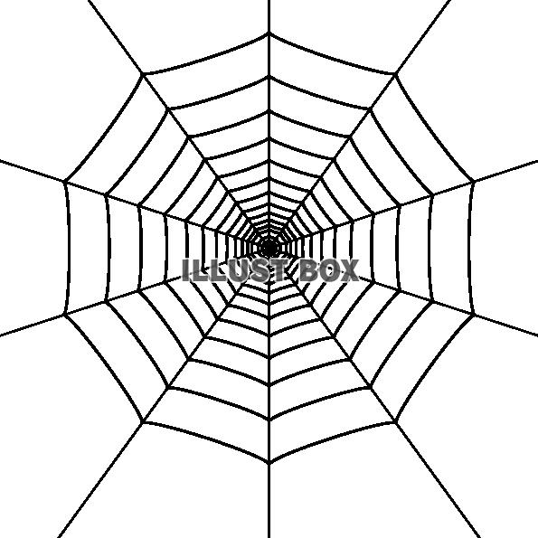 蜘蛛の巣のシンプルなイラスト