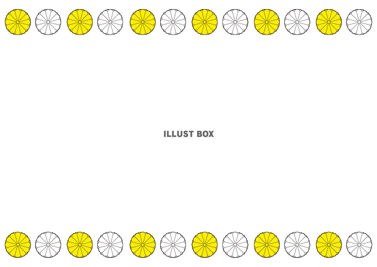 ４枠（和柄・菊・黄色、白、横）