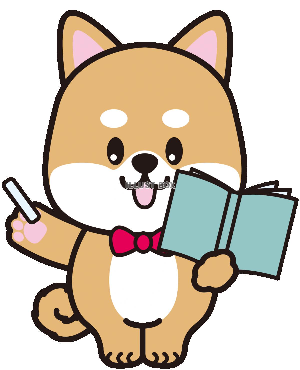 柴犬 イラスト無料