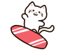 サーフィンをする動物　猫