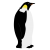 ペンギンのイラスト　 ベクター・透過PNG