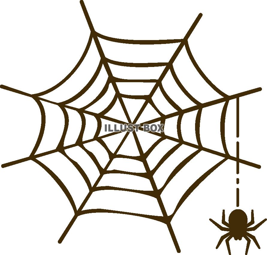 無料イラスト 蜘蛛の巣