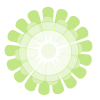 大輪の花の単色フレーム：グリーン