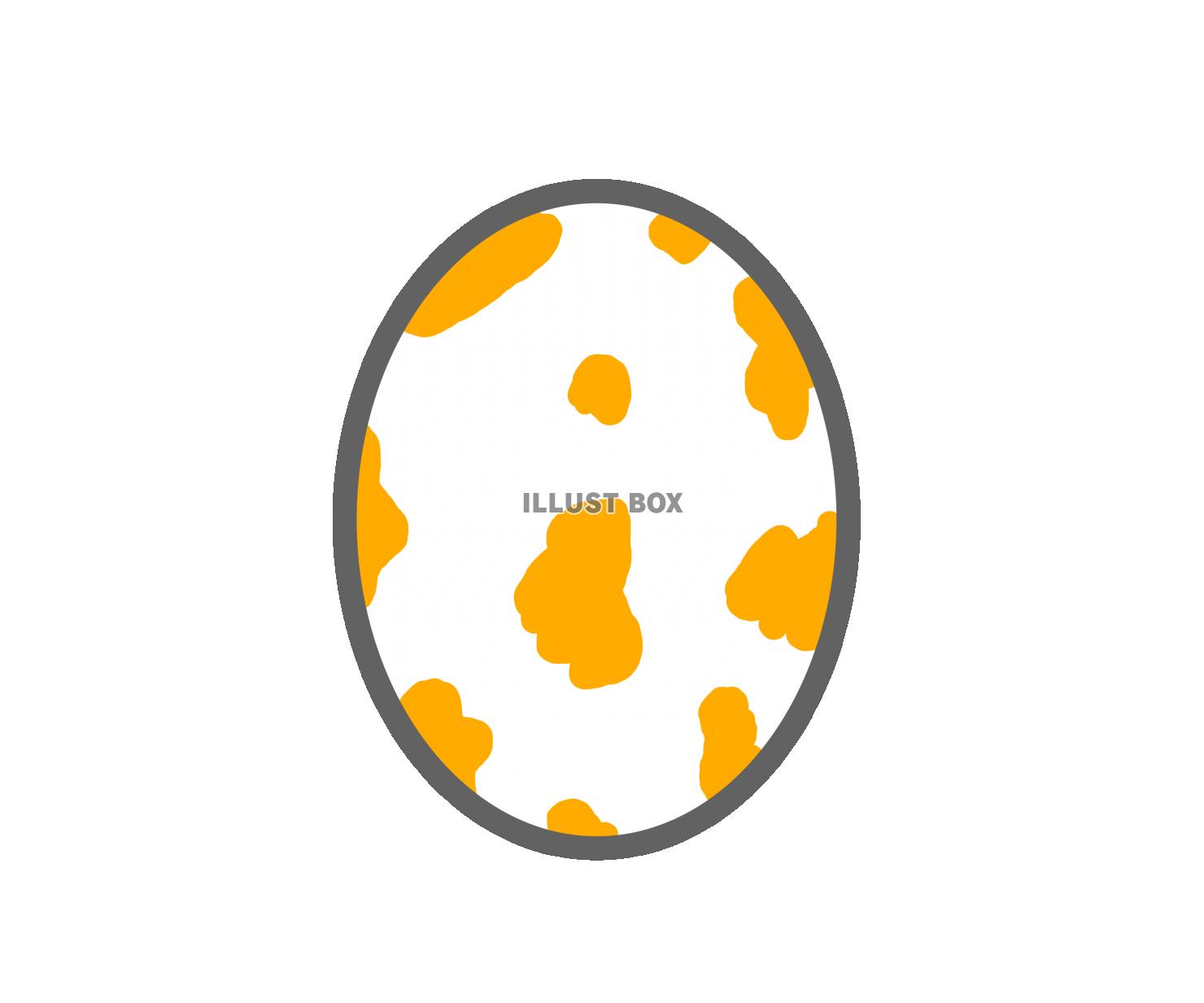 オレンジの斑点模様の卵