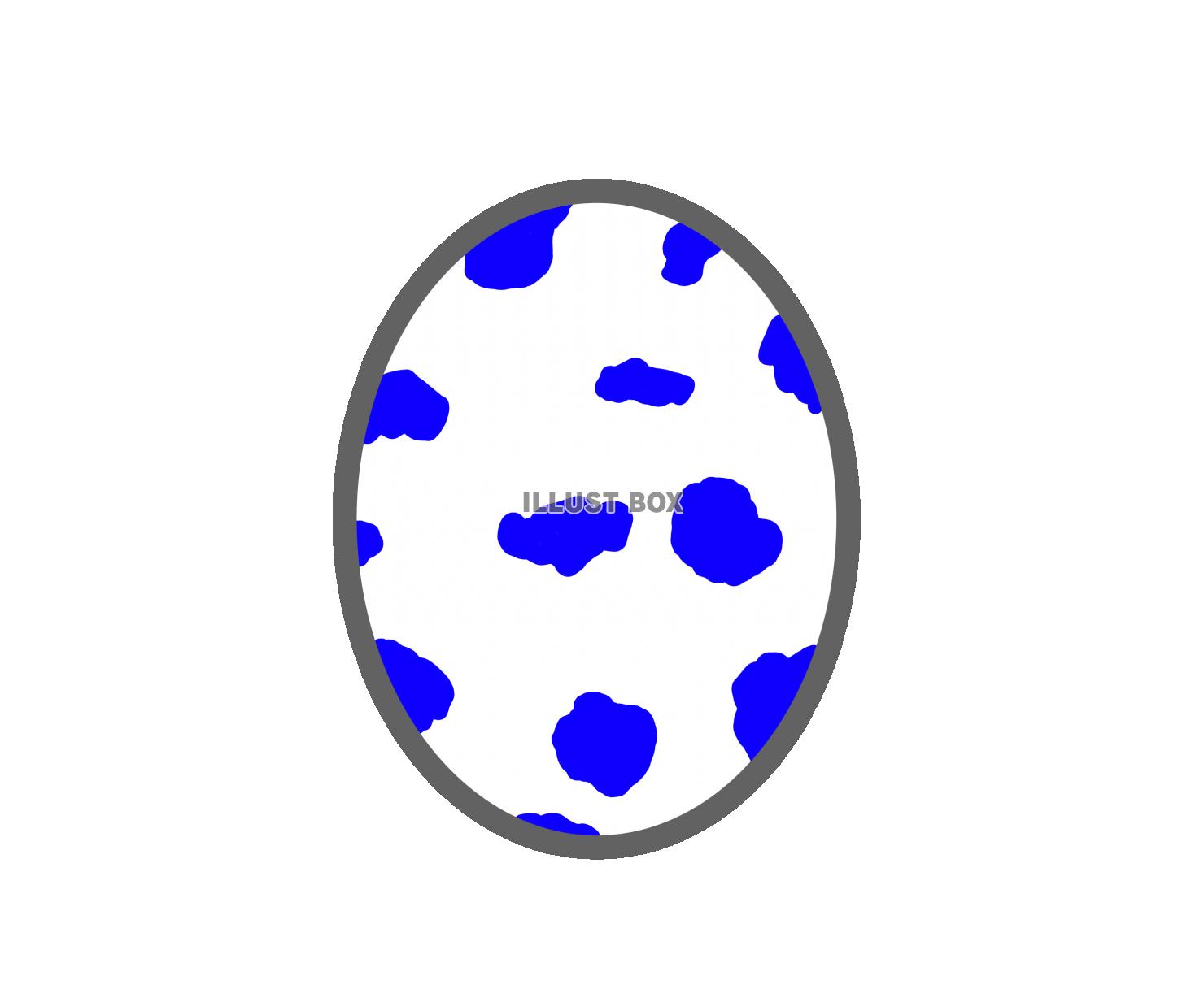 青い斑点模様の卵