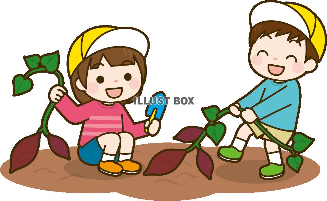 無料イラスト 芋掘りをする子供