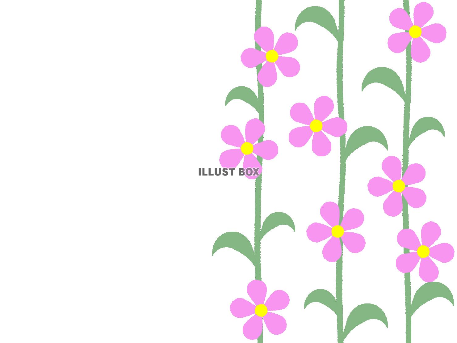 花模様と蔓草の壁紙シンプル背景素材イラスト。透過png