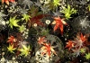 和風で紅葉が綺麗でカッコイイ黒背景テクスチャ（A4）