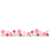 コスモス畑のフレーム背景