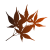 秋の紅葉　もみじ
