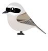  ツリスガラ（日本の野鳥）透過PNG