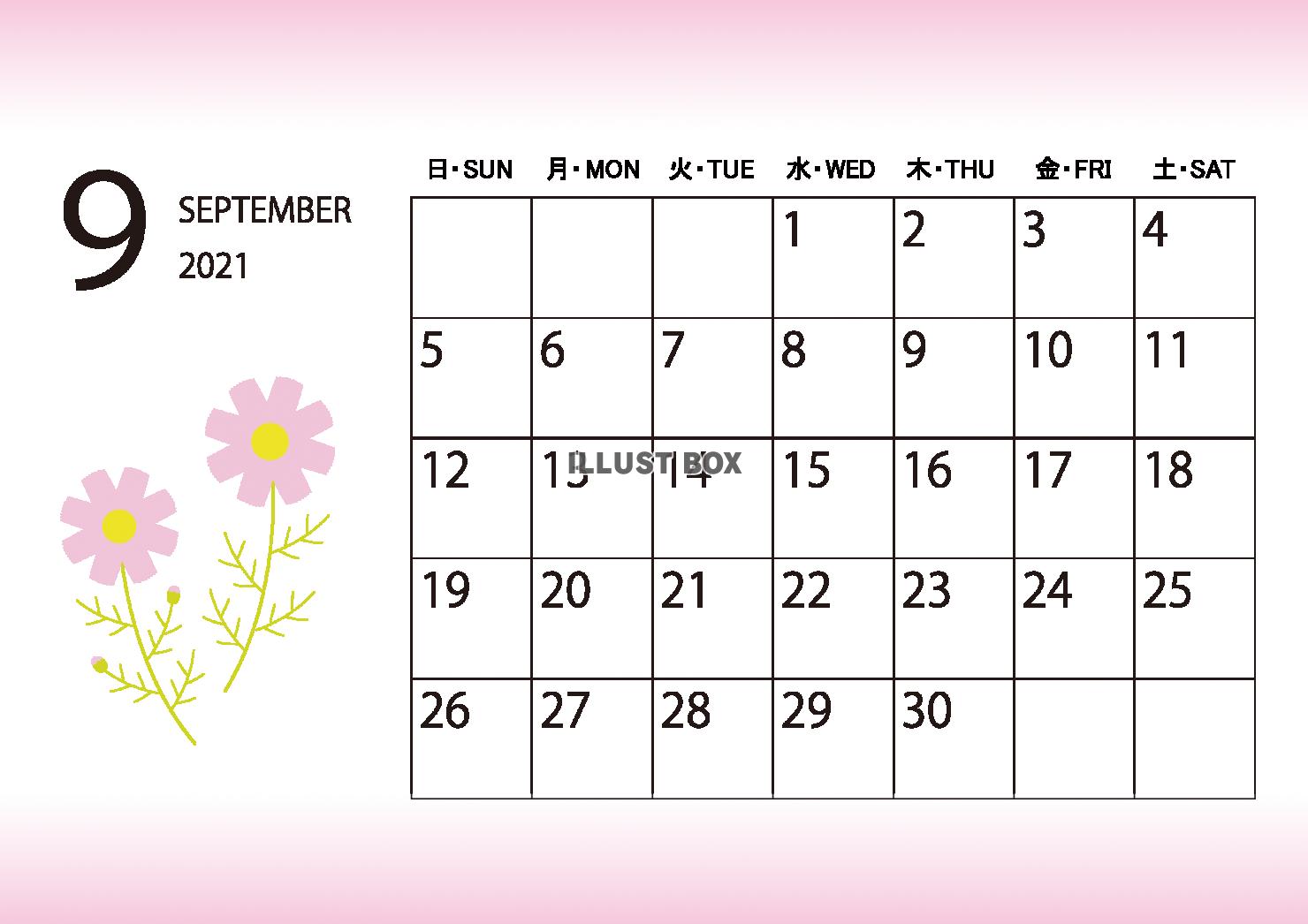 １１カレンダー（2021・09・英語・日本語・・コスモス）