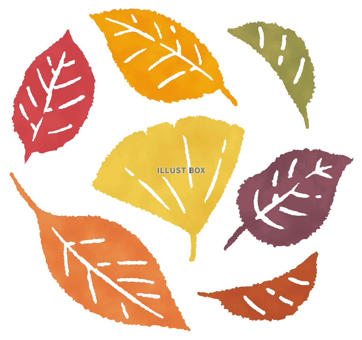 無料イラスト 透過 秋の葉っぱいろいろ