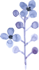 「水彩の花ブルー１」のイラスト2