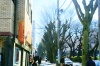 イラスト素材「風景」