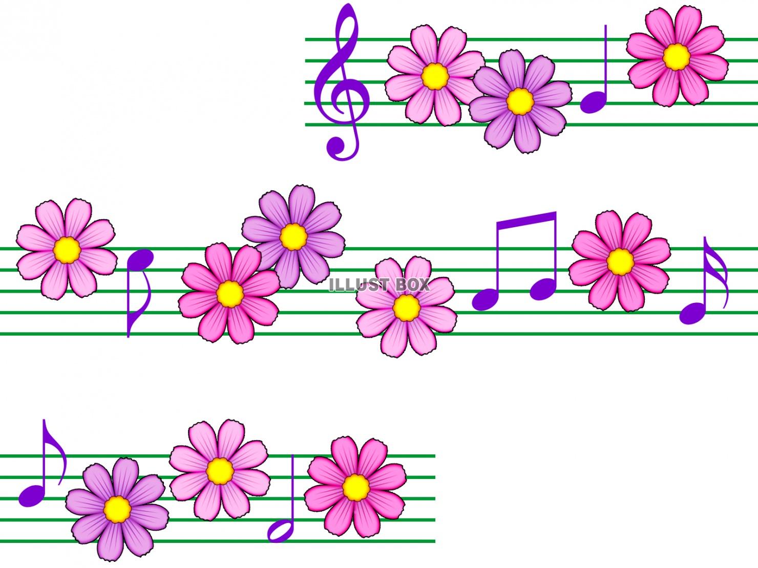 コスモスと音符の壁紙シンプル背景素材イラスト