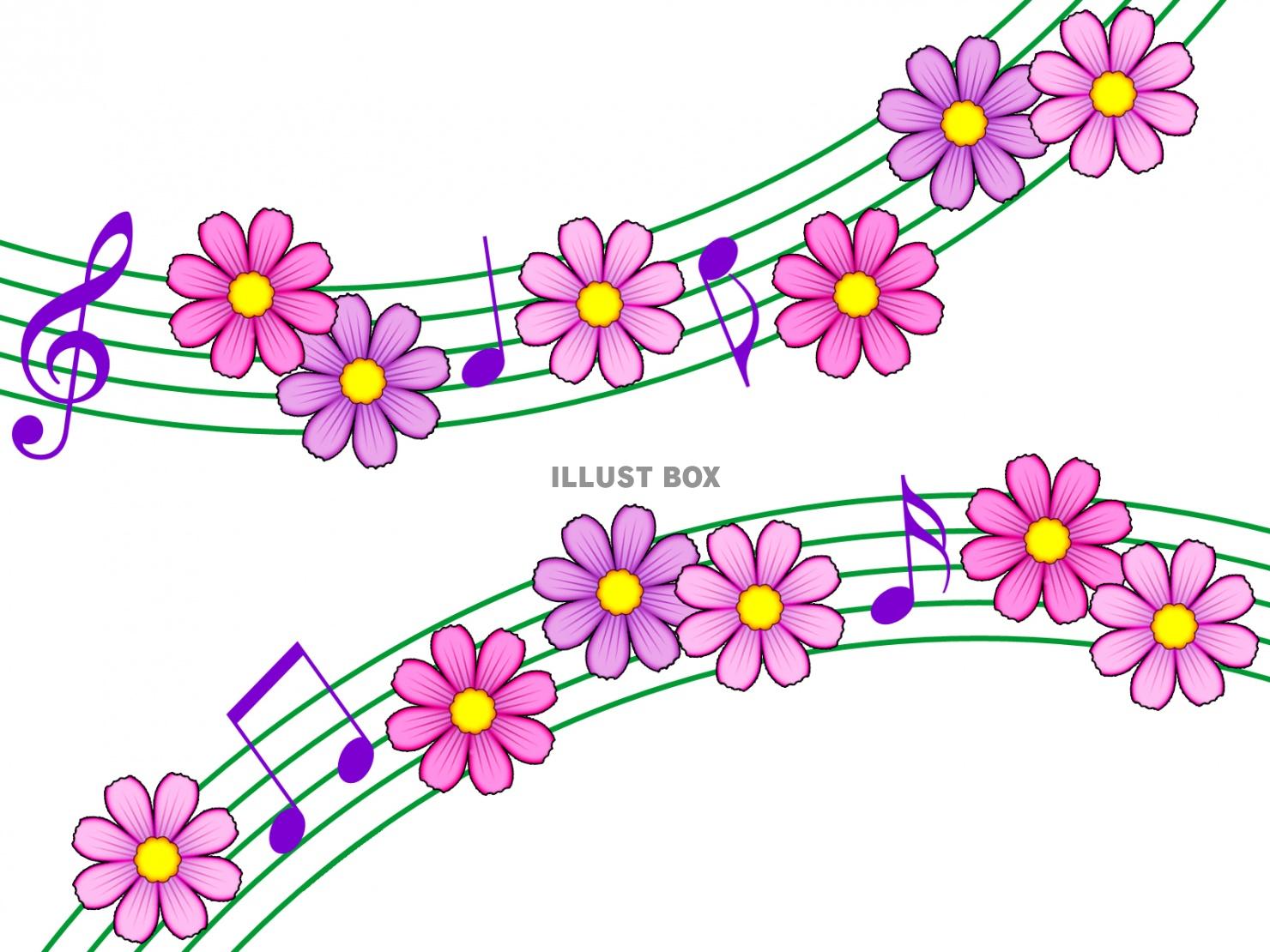 コスモスと音符の壁紙シンプル背景素材イラスト