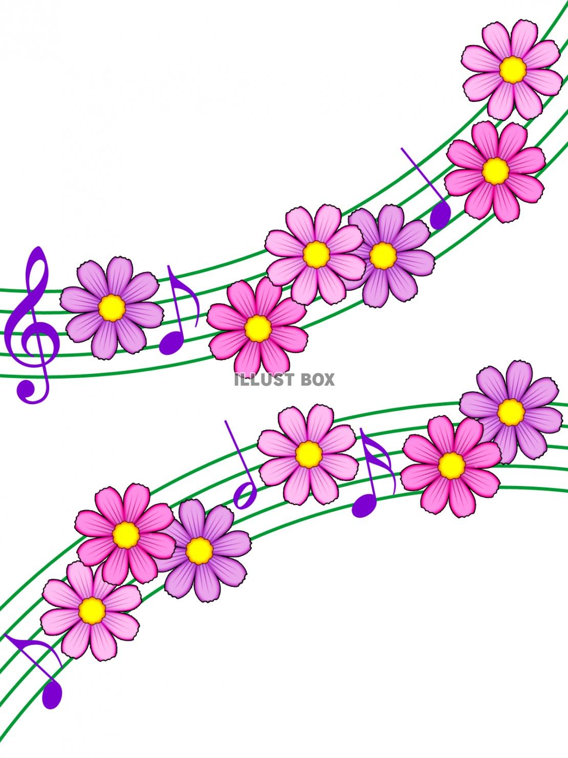 無料イラスト コスモスと音符の壁紙シンプル背景素材イラスト