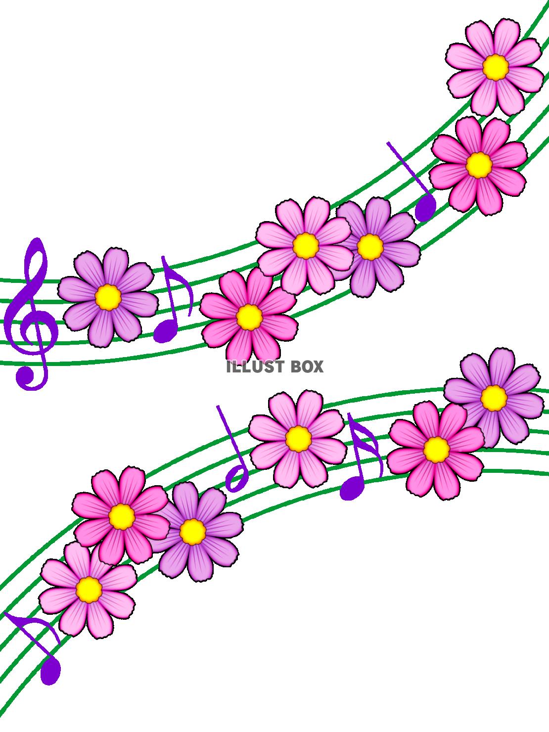 コスモスと音符の壁紙シンプル背景素材イラスト。透過png