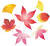 透過・秋の葉っぱ　紅葉モミジイチョウバージョン