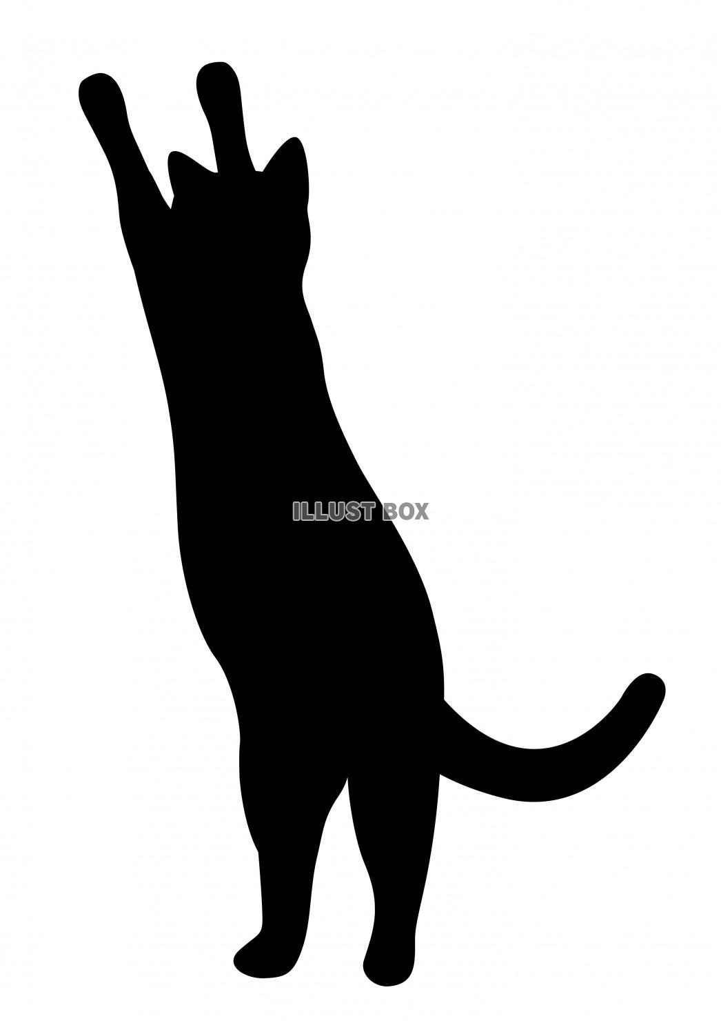 無料イラスト 猫 シルエット 黒猫