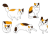 三毛猫のイラスト素材セット