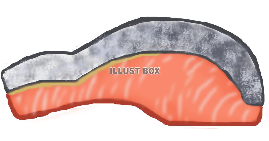 無料イラスト 鮭の切り身 Png
