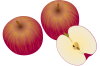 りんご（透過PNG）