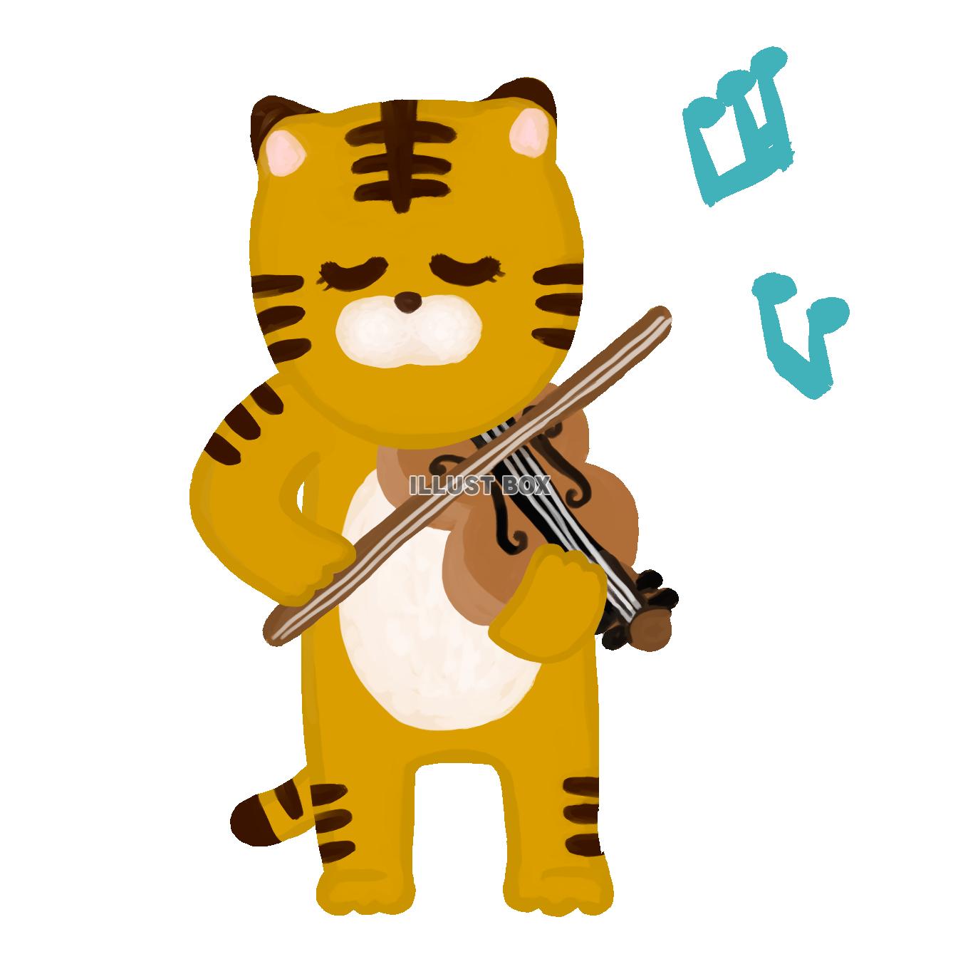 虎がバイオリンを演奏しているイラスト