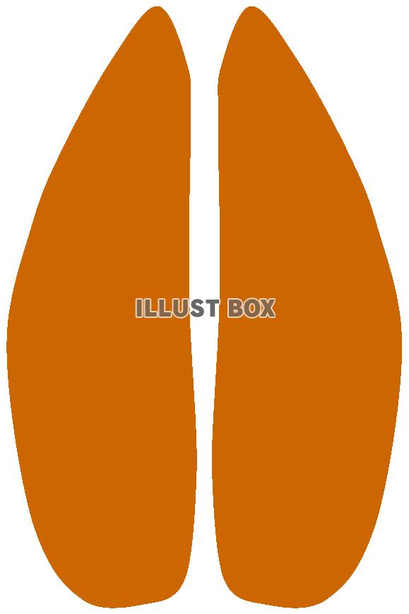 しかの足跡１