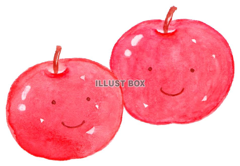 無料イラスト 水彩のかわいいりんご