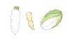 【ベクターカット】ラフに描いた白い野菜