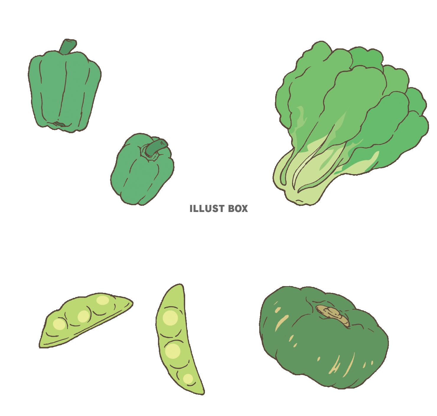 【ベクターカット】ラフに描いた緑の野菜