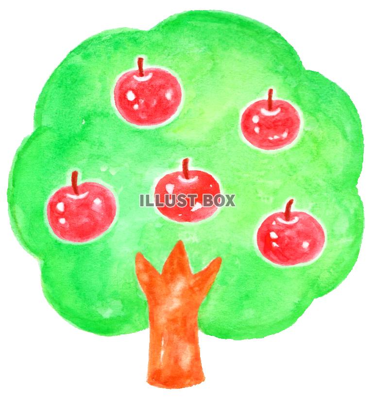 無料イラスト 水彩のリンゴの木