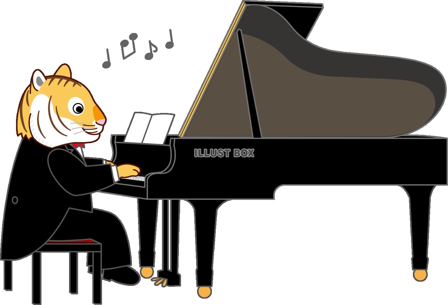 トラさんピアノを弾く１