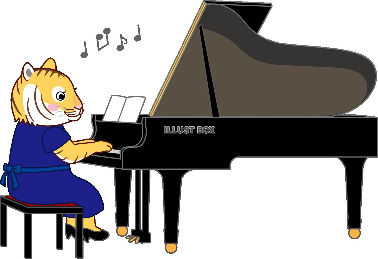 トラさんピアノを弾く３