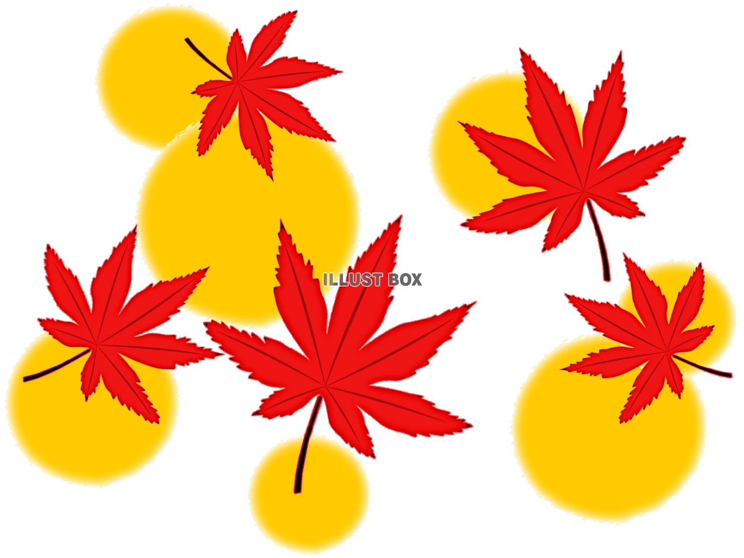 紅葉の葉っぱ壁紙シンプル背景素材イラスト。透過png