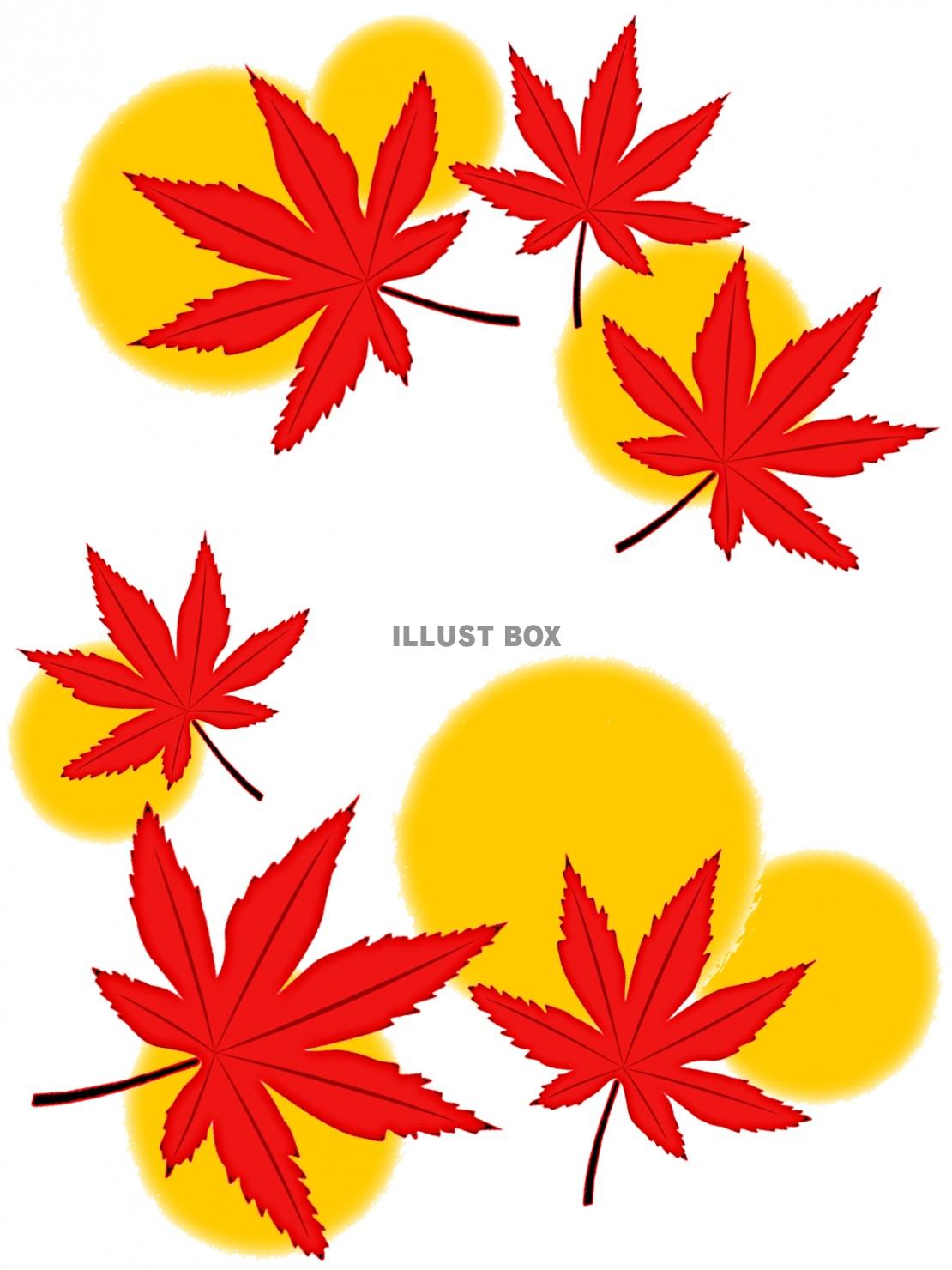 紅葉の葉っぱ壁紙シンプル背景素材イラスト