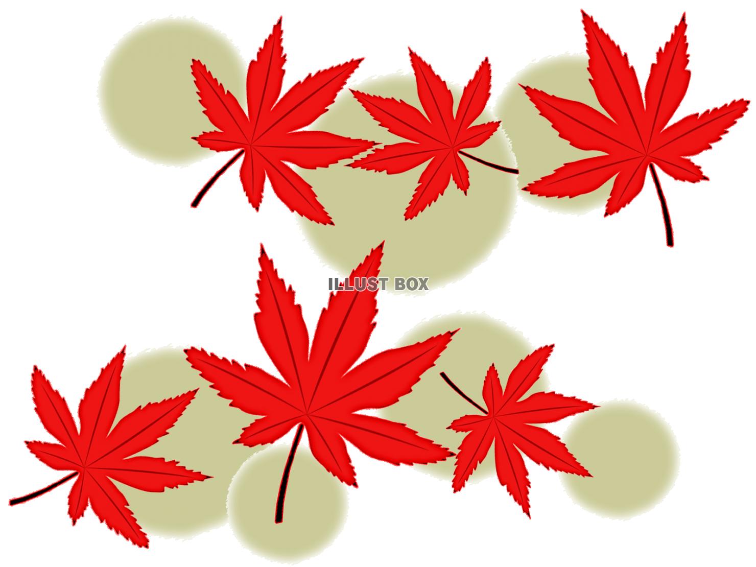 紅葉の葉っぱ壁紙シンプル背景素材イラスト。透過png