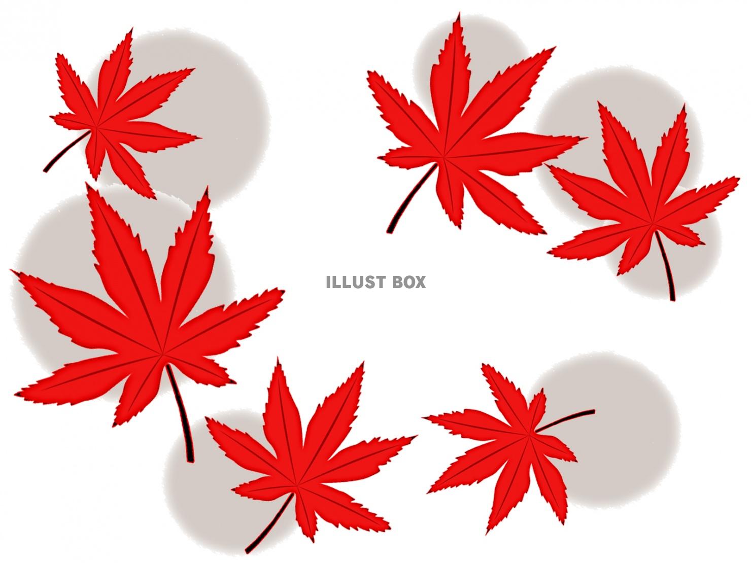 紅葉の葉っぱ壁紙シンプル背景素材イラスト