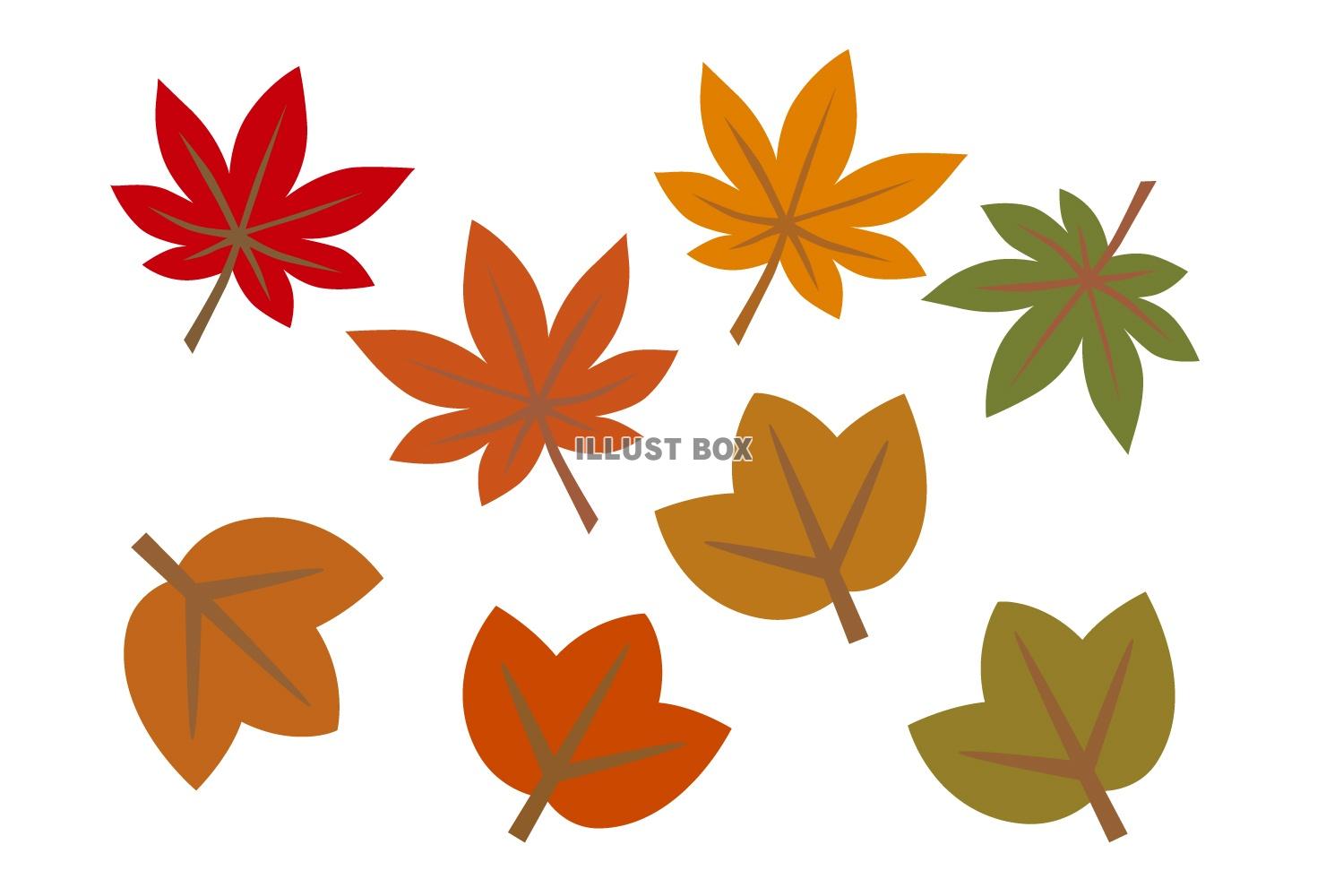 秋の葉っぱイラスト01