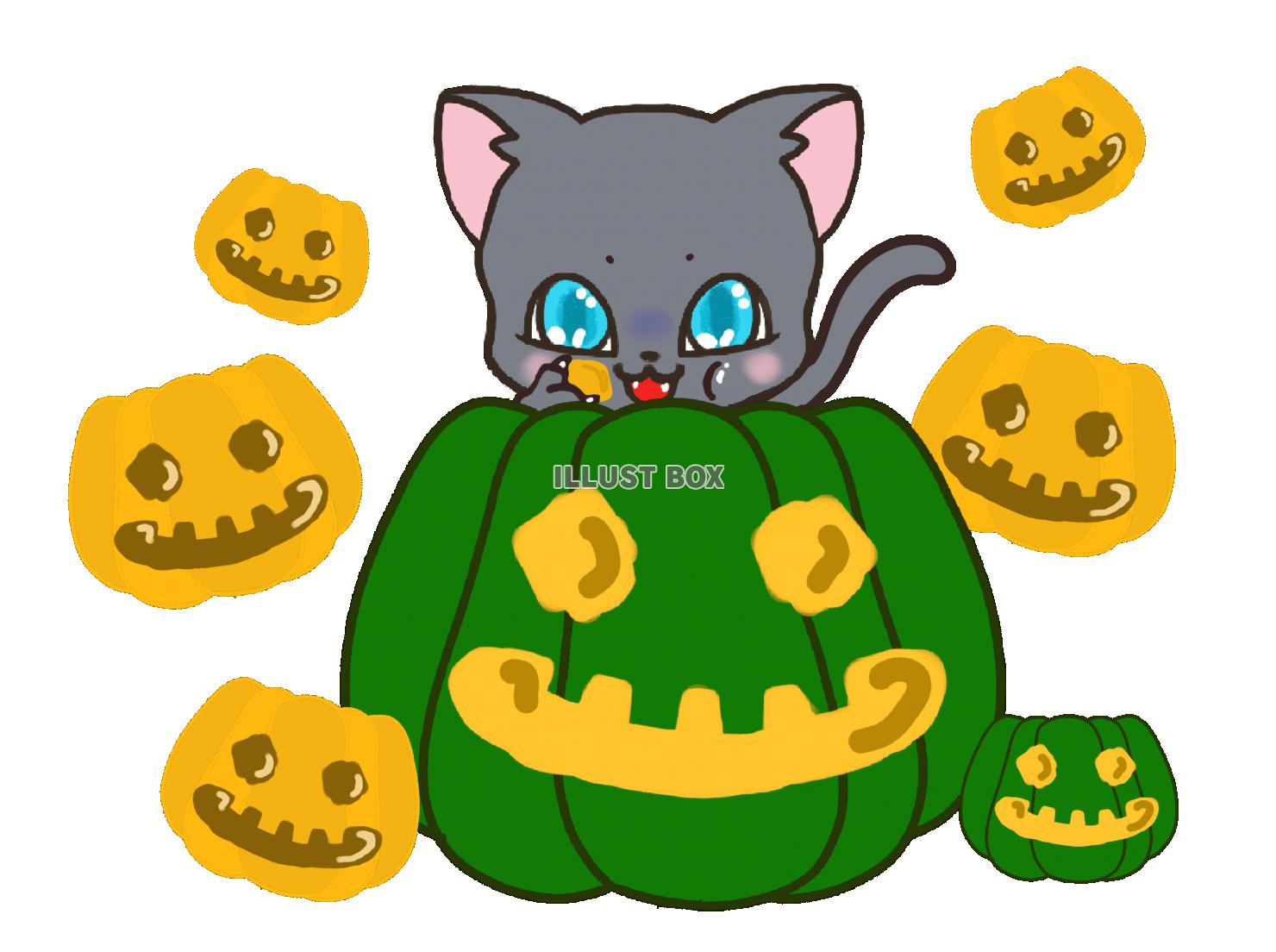 ハロウィン＿おばけかぼちゃと猫