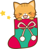 クリスマスソックスに入った猫