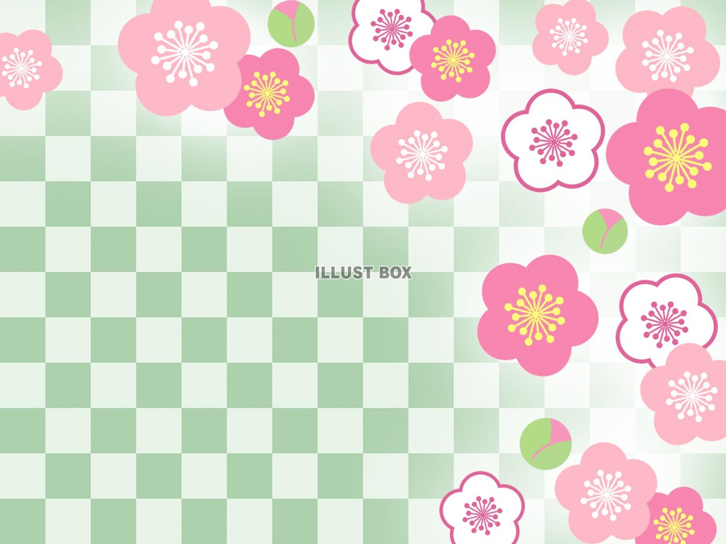 市松模様と梅の花の壁紙シンプル背景素材イラスト