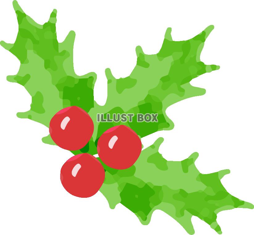 XmasTree 　イラスト６